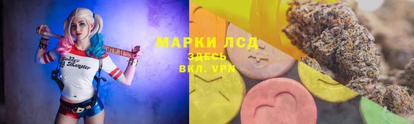 дмт Горнозаводск