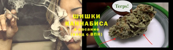 крисы Горно-Алтайск