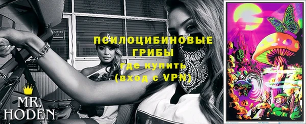 дмт Горнозаводск