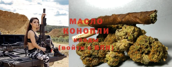дмт Горнозаводск