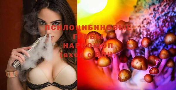 стаф Вяземский